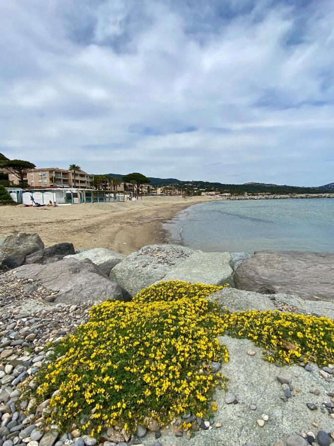 Studio 150 M De Plage Golfe De Saint-Tropez Cavalaire-sur-Mer Esterno foto